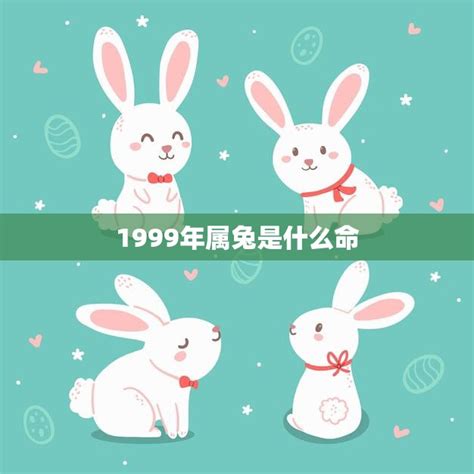 1999兔年|1999年属兔是什么命，99年出生五行属什么